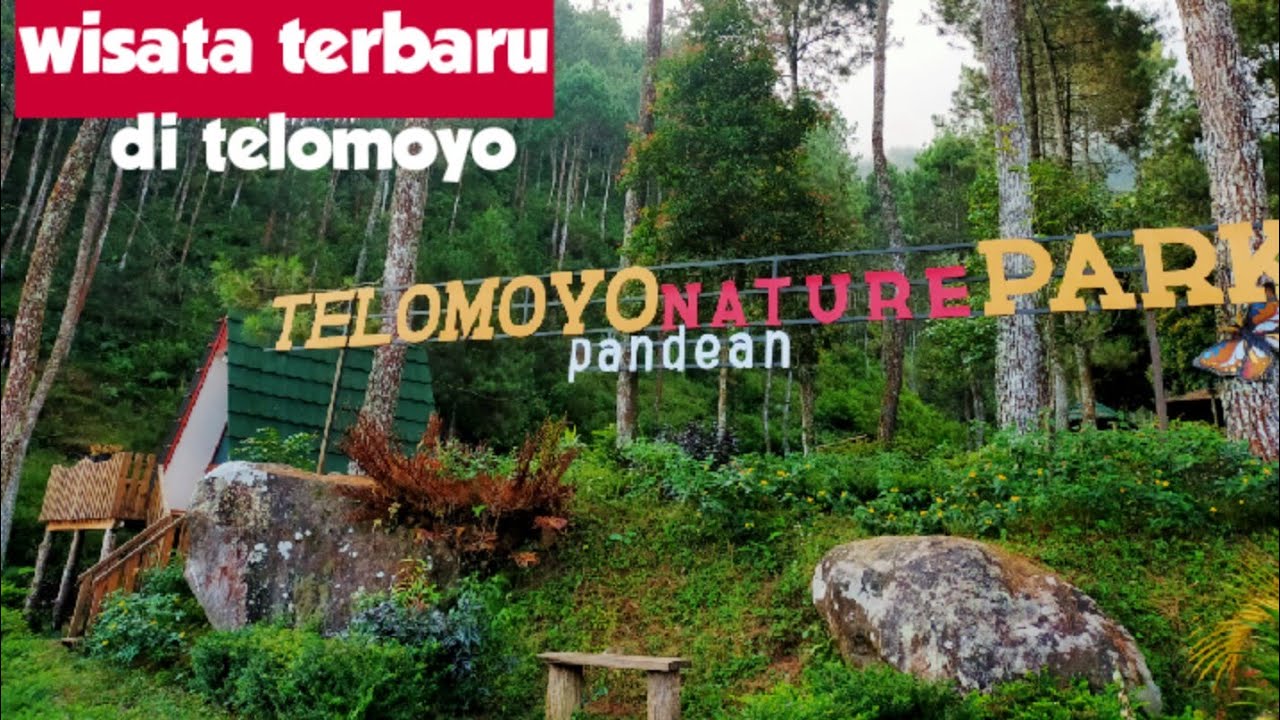 Telomoyo Nature Park: Menikmati Pesona Alam di Lereng Merapi